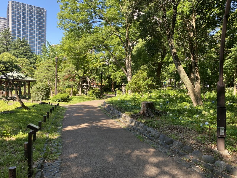 🚶🏻【日比谷公園】朝さんぽ と カフェトーク