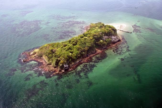 【8/10(日)・猿島上陸🌴】平成生まれ限定！夏の冒険ピクニックで新しい仲間と特別な休日を体験しよう