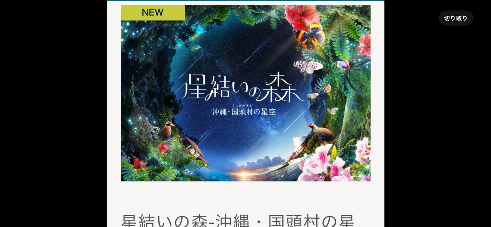 【プラネタリウム🪐夜空に広がる星々の神秘を体験しよう✨