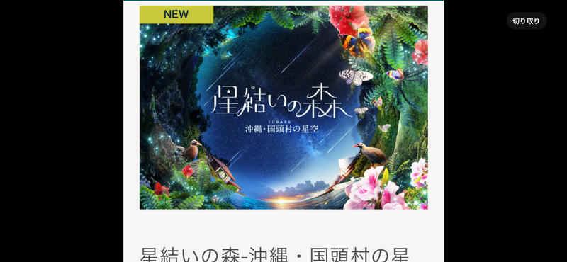 【プラネタリウム🪐夜空に広がる星々の神秘を体験しよう✨