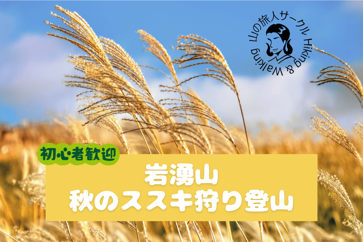 【新百名山の一つ岩湧山】すすき狩り登山