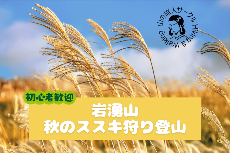 【新百名山の一つ岩湧山】すすき狩り登山