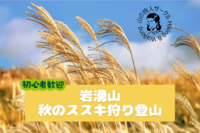 【新百名山の一つ岩湧山】すすき狩り登山