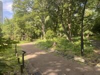 🚶🏻【日比谷公園】朝さんぽ と カフェトーク