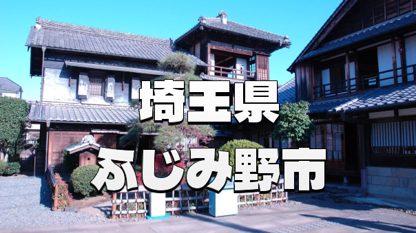 ふじみ野市（旧大井町と上福岡市）歴史散歩！川越街道、新河岸川、マイナーな史跡、郷土資料館など川越関連の歴史をみます