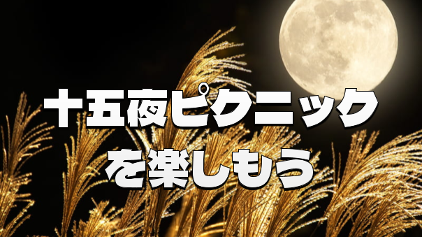 中秋の名月「十五夜」をお酒と月見団子で楽しもう！ナイトピクニックです♪