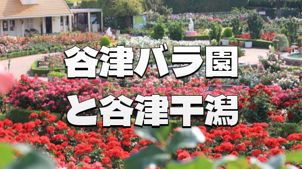 谷津バラ園と谷津干潟自然観察センターにいってみませんか？