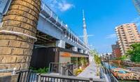 【8/31(日)浅草発🚶‍♂️隅田公園＆東京スカイツリー観光さんぽ🌿60分限定特別コース