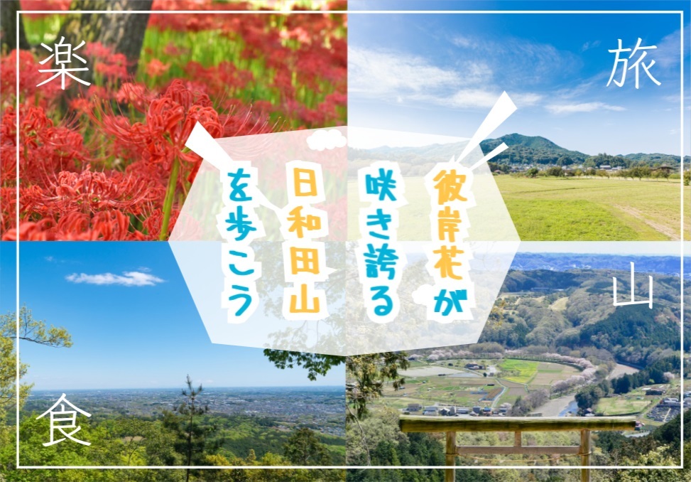 彼岸花が咲き誇る日和田山でハイキングを楽しもう
