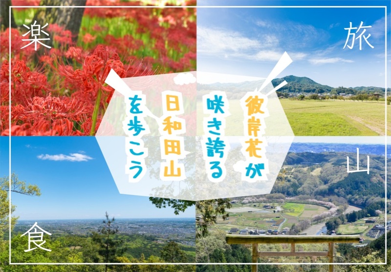 彼岸花が咲き誇る日和田山でハイキングを楽しもう