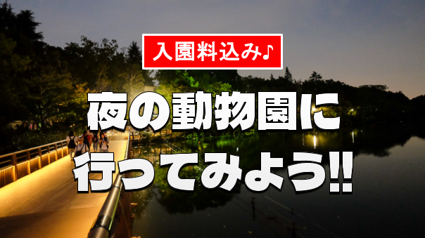 【入館料込み】期間限定の夜の動物園（井の頭自然文化園）にいってみよう！