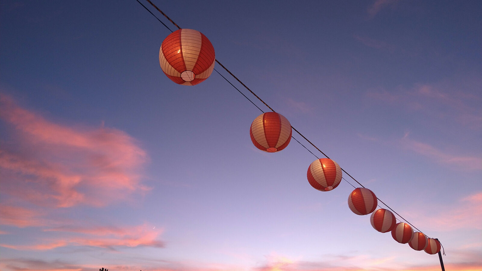 8/2 17:00〜 てんしば夏祭り🏮✨