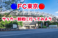 【参加費500円返金します！】味の素スタジアム⚽️で爆熱応援！FC東京観戦ナイト・非日常体験を仲間と楽しもう！