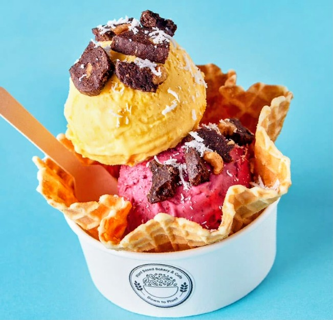 【期間限定🍨】六本木ヒルズ『ダウントゥプラント』のヘルシーアイスを食べに行こう！