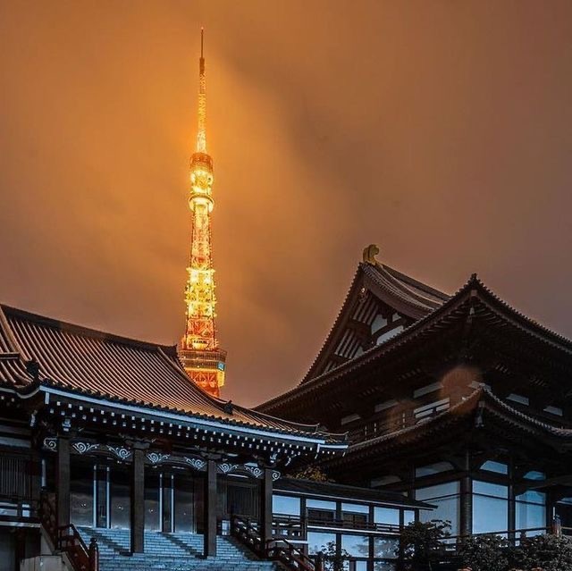 【8/18(月)夜開催】東京タワー🌃
夜景散歩チャレンジ！都心でリフレッシュ🌳