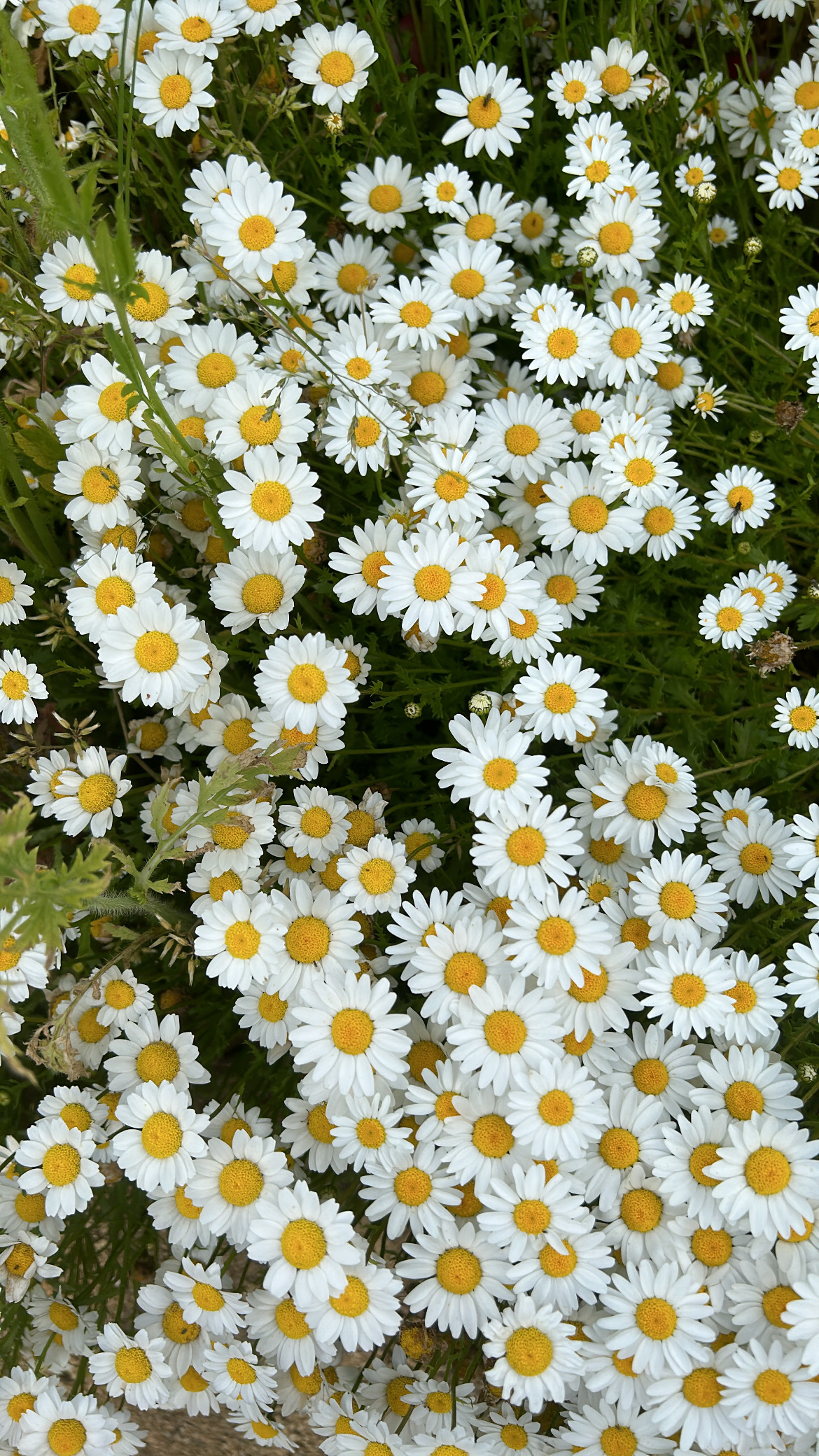 8/11（祝月）植物園in長居公園🌱