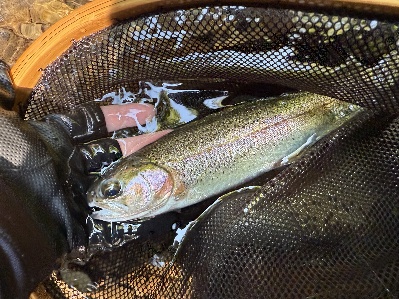 【8/9.10】テンカラ釣行 少人数でのんびり大自然満喫！！