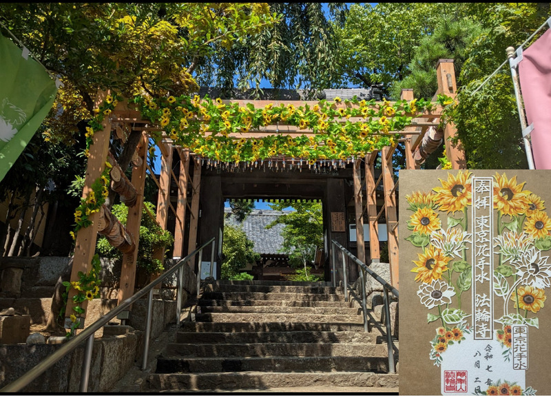 【ひまわりに飾られたお寺でお花の切り絵御朱印を手に入れよう！】8/17 10時半　早稲田　法輪寺！