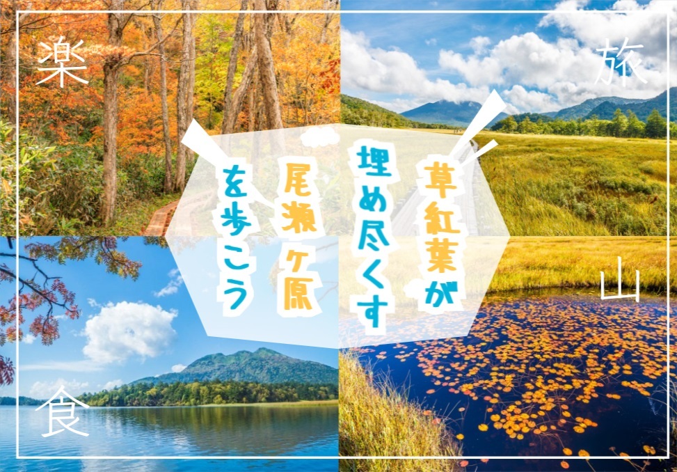 草紅葉が広がる尾瀬ヶ原でハイキングを楽しもう