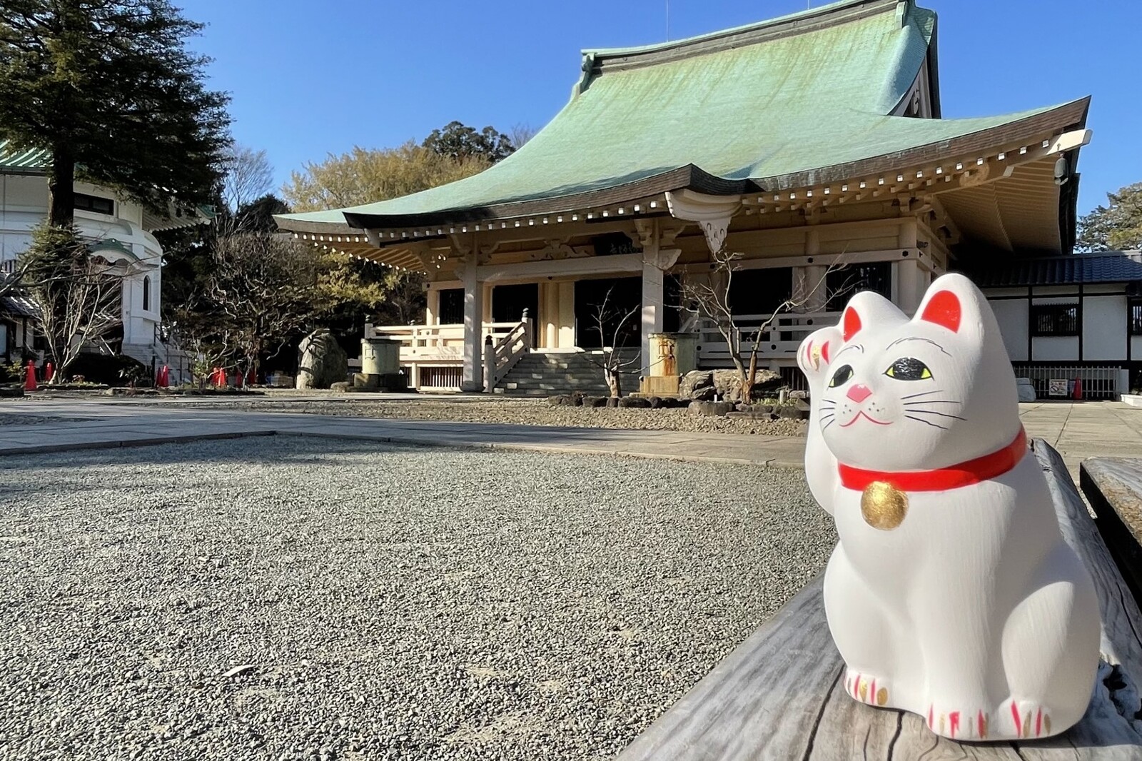 招き猫で有名な豪徳寺参拝＆食べ歩きをしよう🐈🐈
