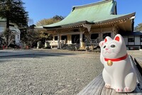 招き猫で有名な豪徳寺参拝＆食べ歩きをしよう🐈🐈