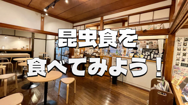 注目されている昆虫食を試してみよう【世界の料理を食べ歩く会】