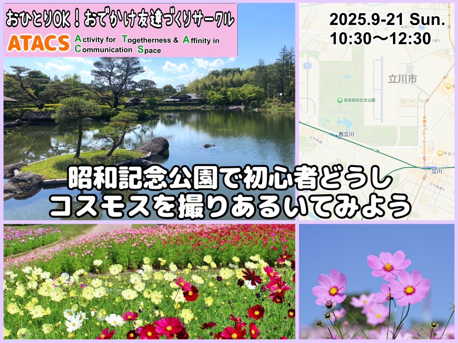 昭和記念公園で初心者どうしコスモスを撮り歩いてみよう