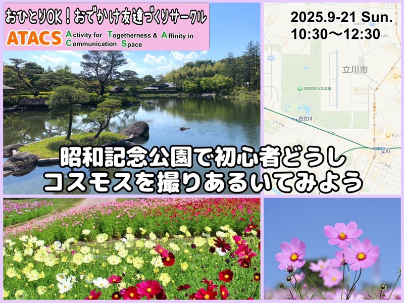 昭和記念公園で初心者どうしコスモスを撮り歩いてみよう