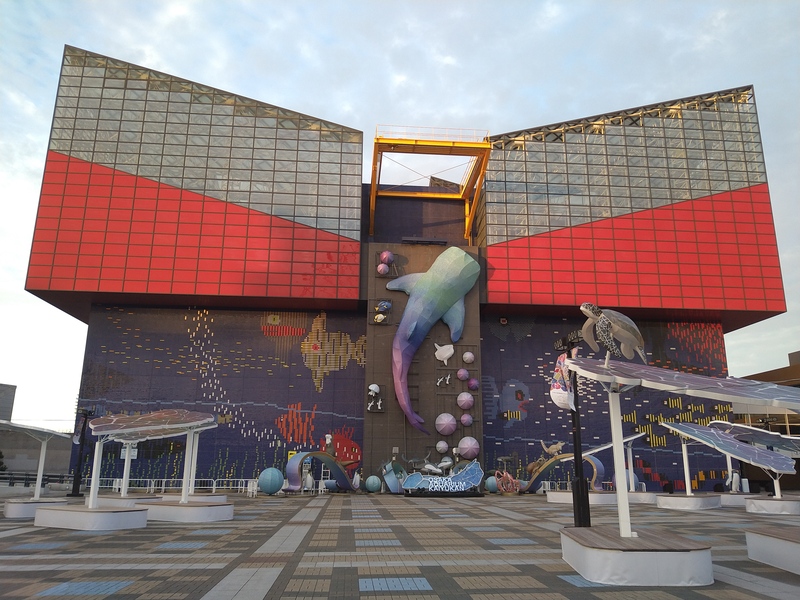 8/14  海遊館でリフレッシュ🐠🐬✨