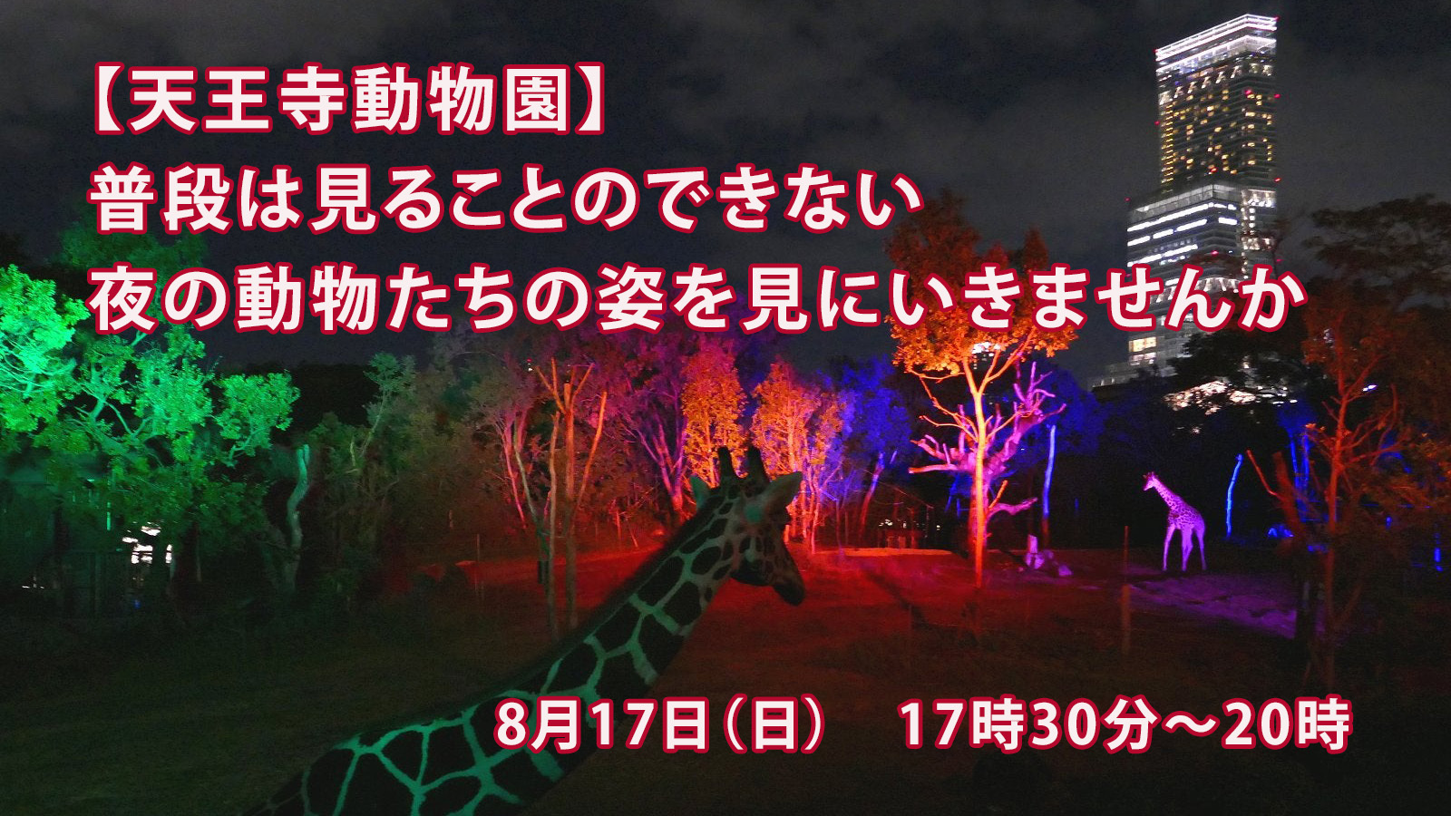 【天王寺動物園】普段は見ることのできない夜の動物をたちの姿を見にいきませんか。