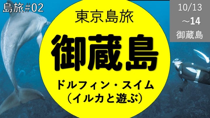 [過去参加者限定] 東京島旅 御蔵島 イルカと泳いで遊ぼう