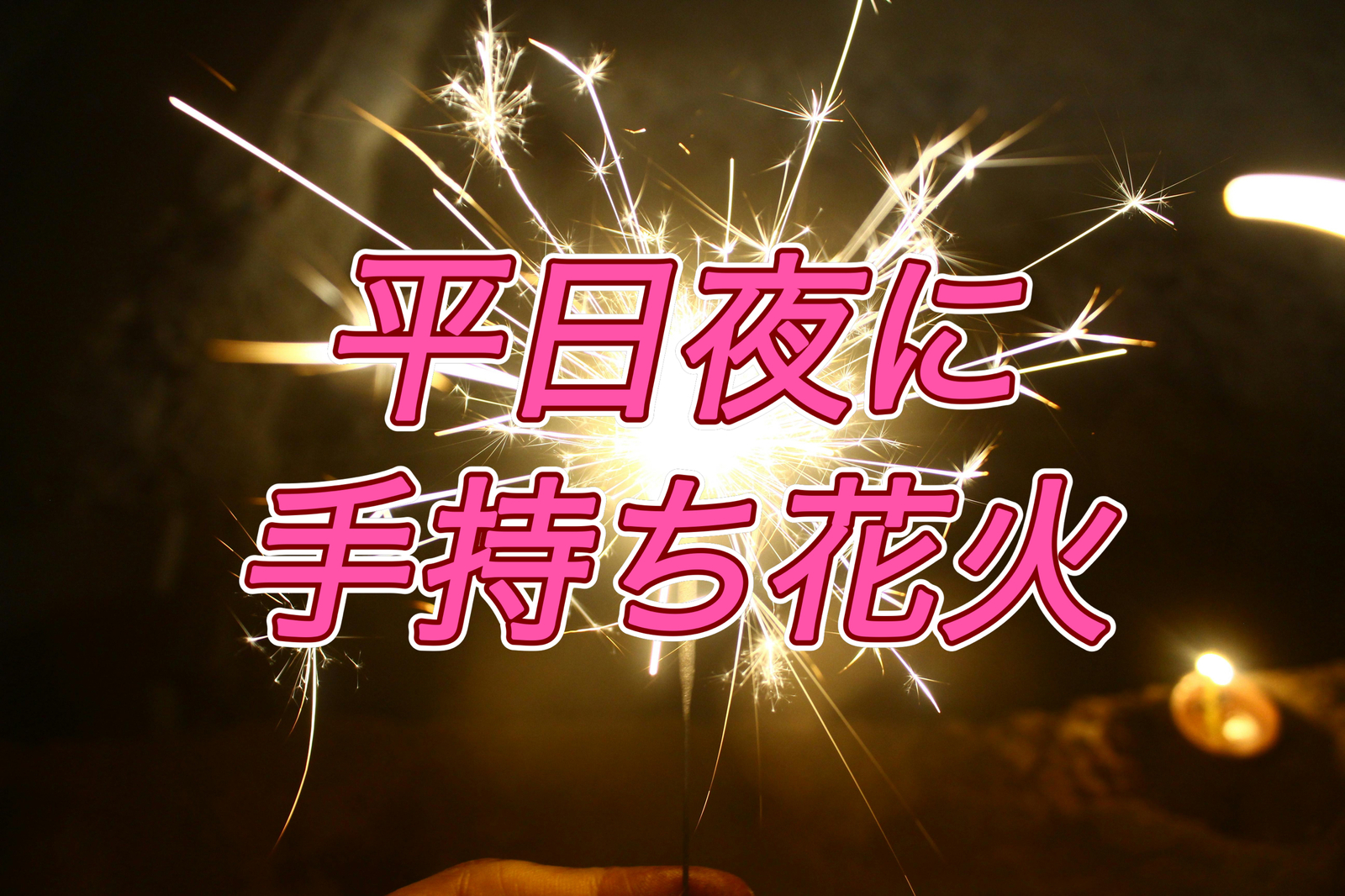 8/21アメリカ人と一緒に手持ち花火をしよう！世田谷公園