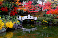 【30代中盤〜40代中心】旧安田庭園散歩&両国でちゃんこ鍋ランチ&隅田川クルージング&浜離宮紅葉鑑賞