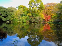 【30代中盤〜40代中心】和田堀公園散歩&人気ドラマ出演飲食店でランチ