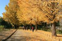 【30代中盤〜40代中心】駒場東大前旧前田邸見学&東大駒場キャンパス内で散歩&ランチ