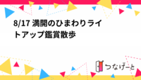 8/17 葛西臨海公園　満開のひまわりライトアップ鑑賞散歩
