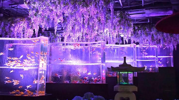 🍀銀座・水族館とランチ会🍀30代後半〜50代前半