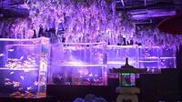 🍀銀座・水族館とランチ会🍀30代後半〜50代前半