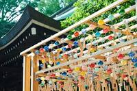 【8/31開催】氷川神社で幻想の風鈴回廊🎐+足湯カフェ体験＆夏の終わりの癒やしイベント