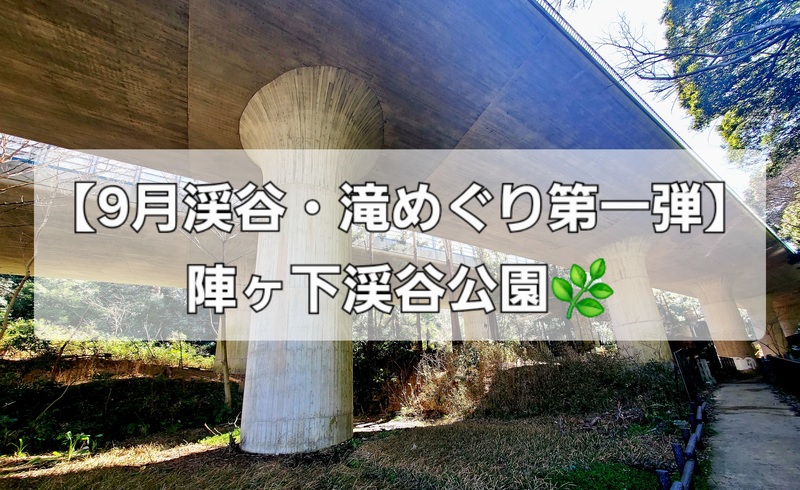【9月渓谷・滝めぐり第一弾】陣ケ下渓谷公園 🌿