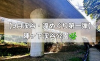 【9月渓谷・滝めぐり第一弾】陣ケ下渓谷公園 🌿