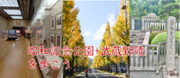 【イチョウ並木と天皇陛下のお墓】昭和記念公園+武蔵野陵を歩こう（説明・解説付）