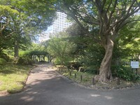 🚶🏻【日比谷公園】朝さんぽ と カフェトーク