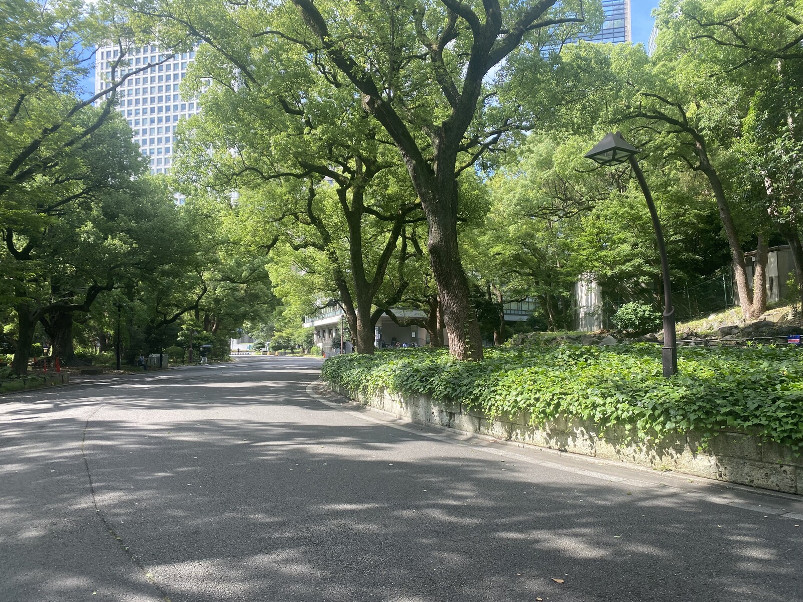 🚶🏻【日比谷公園】朝さんぽ と カフェトーク
