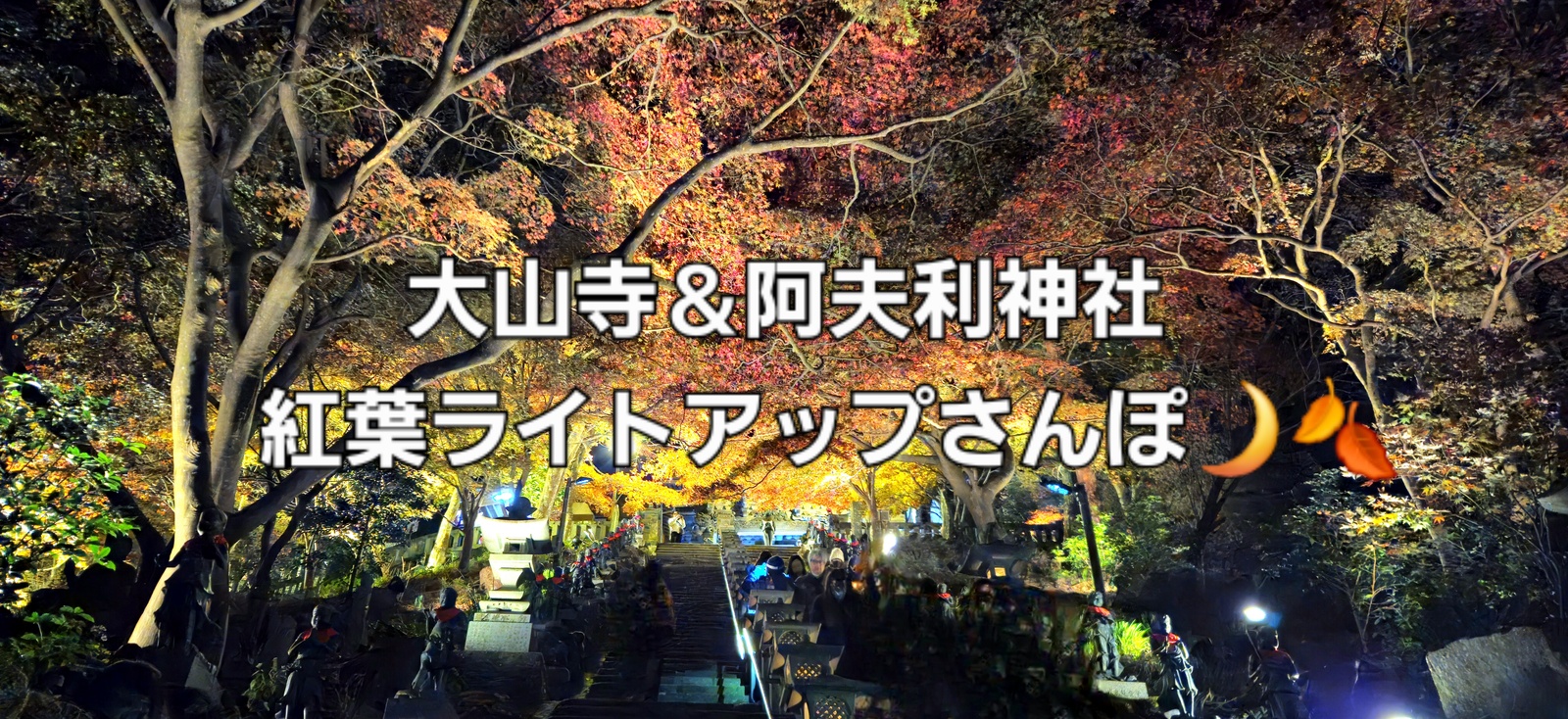 大山寺＆阿夫利神社 紅葉ライトアップさんぽ🌙🍂