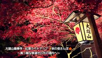 大雄山最乗寺・紅葉ライトアップ🌙 秋の夜さんぽ🍁 ～真っ暗な参道から光の境内へ〜