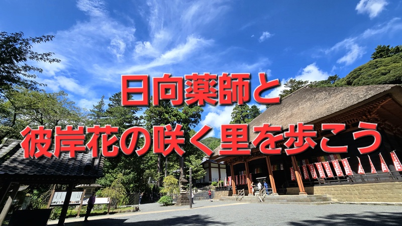 🌸 日向薬師と彼岸花の咲く里を歩こう