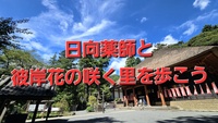 🌸 日向薬師と彼岸花の咲く里を歩こう