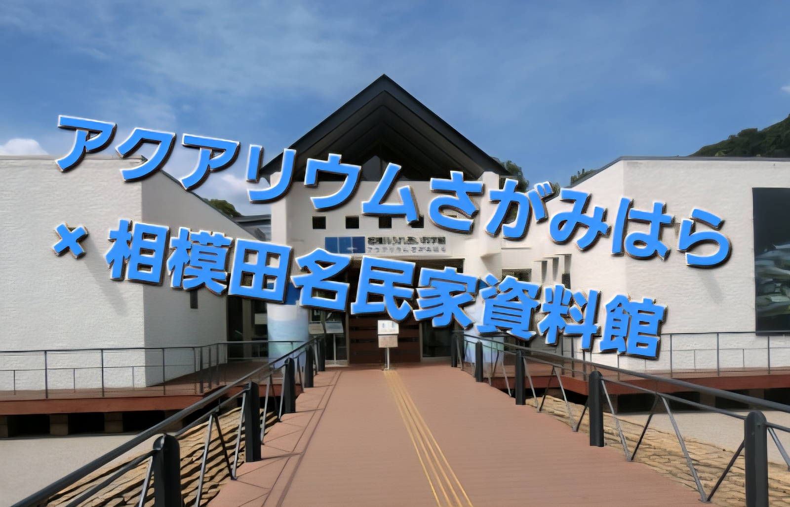 🐟アクアリウムさがみはら × 相模田名民家資料館を巡る さんぽ会