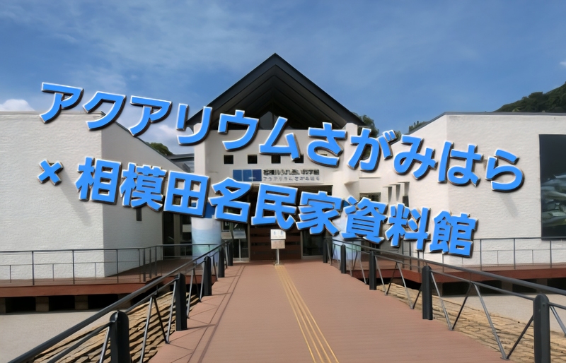 🐟アクアリウムさがみはら × 相模田名民家資料館を巡る さんぽ会